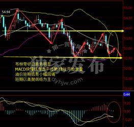 乳瓜今日行情走势图分析,今日走势图深度解读