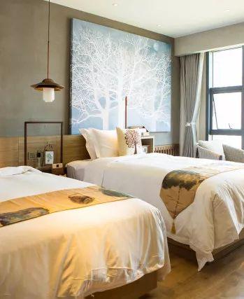 明星网红的酒店叫什么,品味非凡的住宿体验