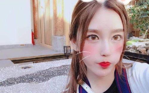 明星网红的酒店叫什么,品味非凡的住宿体验