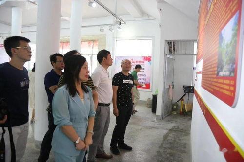 石家庄偷税明星网红事件,揭秘娱乐圈税务风波