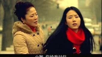 全部电视剧,盘点经典电视剧全览