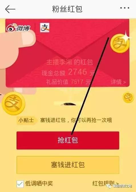 明星网红背书人是谁,揭秘背后的神秘背书人！”