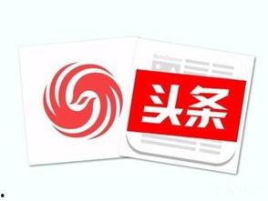 今日头条新闻领瓜,揭秘热门事件背后的真相与内幕