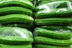 运城乳瓜今日价格行情,涨跌波动，市场动态一览”