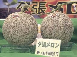 今日金香玉蜜瓜价格行情,甜蜜诱惑，价格波动解析