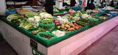 寒寺小吊瓜批发市场今日价格,新鲜直供，实惠之选”