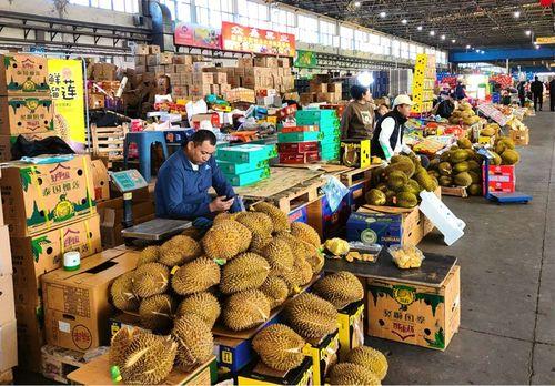 寒寺小吊瓜批发市场今日价格,新鲜直供，实惠之选”