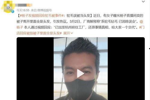 明星网红回应事件视频大全,真相与态度全解析