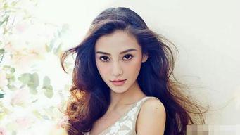 望京明星网红有哪些