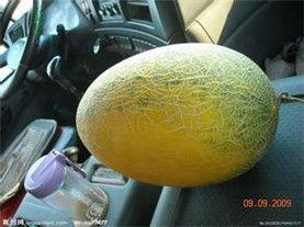 哈密瓜产地今日最新价格,今日最新行情一览”