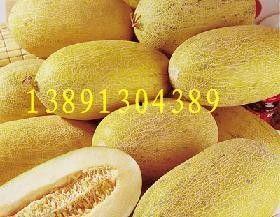 哈密瓜产地今日最新价格,今日最新行情一览”