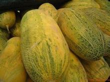 哈密瓜产地今日最新价格,今日最新行情一览”