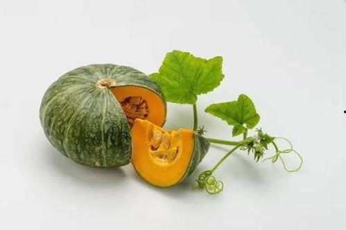 小喜瓜今日价格表