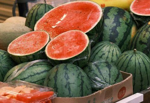 小喜瓜今日价格表