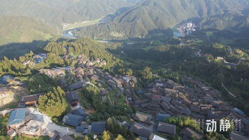 明星网红去贵州村超,明星网红共赴贵州足球盛宴