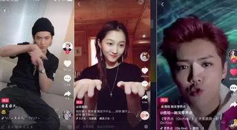 明星网红去酒吧的视频