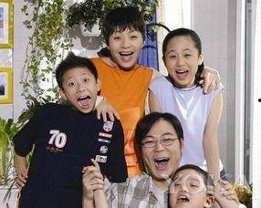 电视剧家有儿女,成长岁月中的欢乐与泪水
