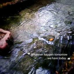 小鸡今日浮甘瓜清泉,小鸡悠然品浮瓜