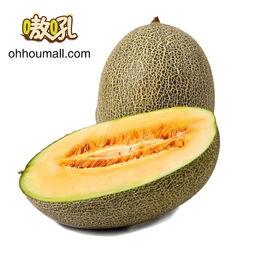 南宁海吉星新疆哈密瓜今日报价表,新疆瓜果新鲜上市，价格行情一览