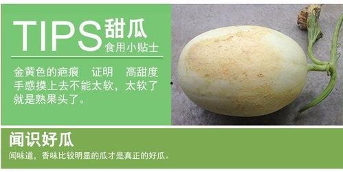 玉菇蜜瓜今日价格行情,甜蜜价格波动解析
