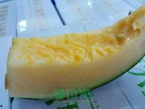 今日超好吃的哈密瓜,揭秘今日超美味哈密瓜的秘密