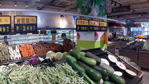 山东今日茭瓜价格行情最新,今日市场动态一览