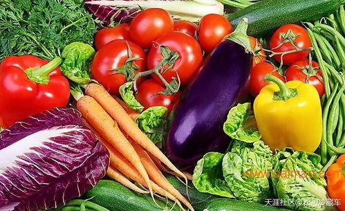 山东今日茭瓜价格行情最新,今日市场动态一览