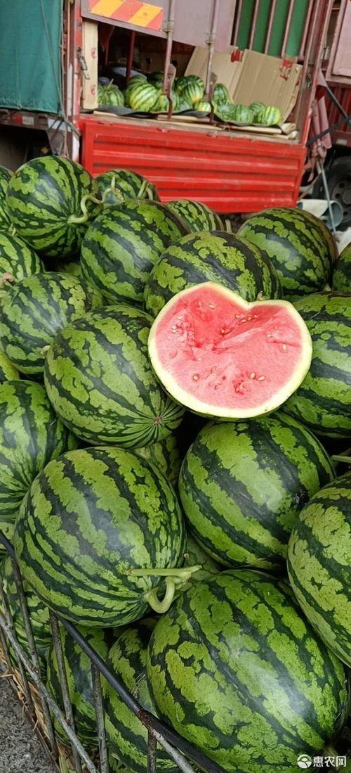 嘉兴麒麟瓜今日价格,品质瓜果，实惠之选