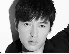 男明星网红排行榜,流量担当盘点