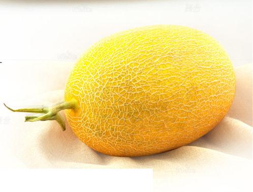 哈密瓜批发价格今日价,行情波动，市场动态一览”