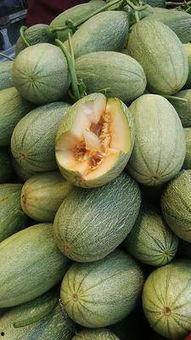 哈密瓜批发价格今日价,行情波动，市场动态一览”