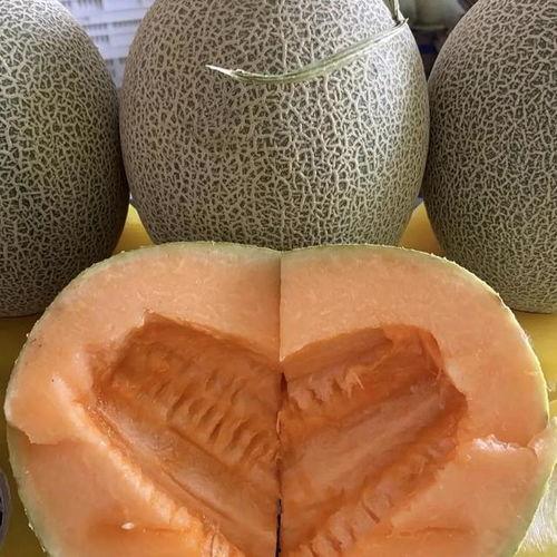 哈密瓜今日价钱最新行情,价格波动解析与市场趋势洞察