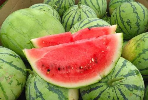 91cg今日吃瓜热门大瓜必看,揭秘今日吃瓜大瓜，必看精彩瞬间