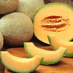 杭州哈密瓜今日价格行情,价格行情一览