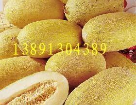 杭州哈密瓜今日价格行情,价格行情一览