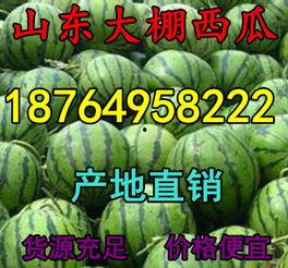 湖南沙漠瓜今日零售价,新鲜美味，价格实惠，快来尝鲜！
