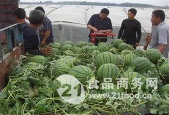湖南沙漠瓜今日零售价,新鲜美味，价格实惠，快来尝鲜！
