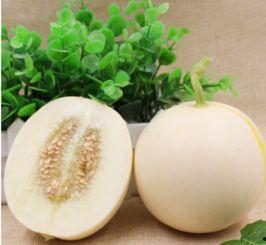 弥渡今日小瓜价格,市场行情一览