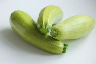 今日茄瓜最新报价,市场行情波动，价格走势分析”