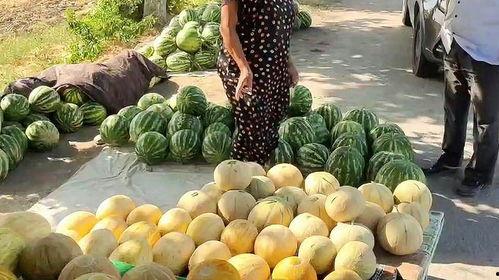 瓜哥今日吃瓜热门,揭秘娱乐圈最新热点事件