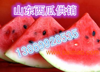 瓜达克斯今日价格表