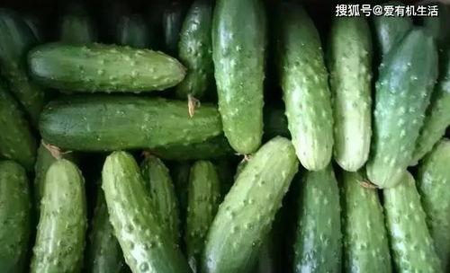 今日旱瓜价格表最新,最新价格一览，供需动态解析