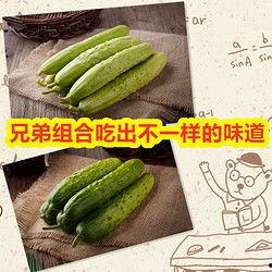 今日旱瓜价格表最新,最新价格一览，供需动态解析