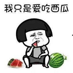 这几年吃的娱乐瓜叫什么,盘点近年热门娱乐瓜